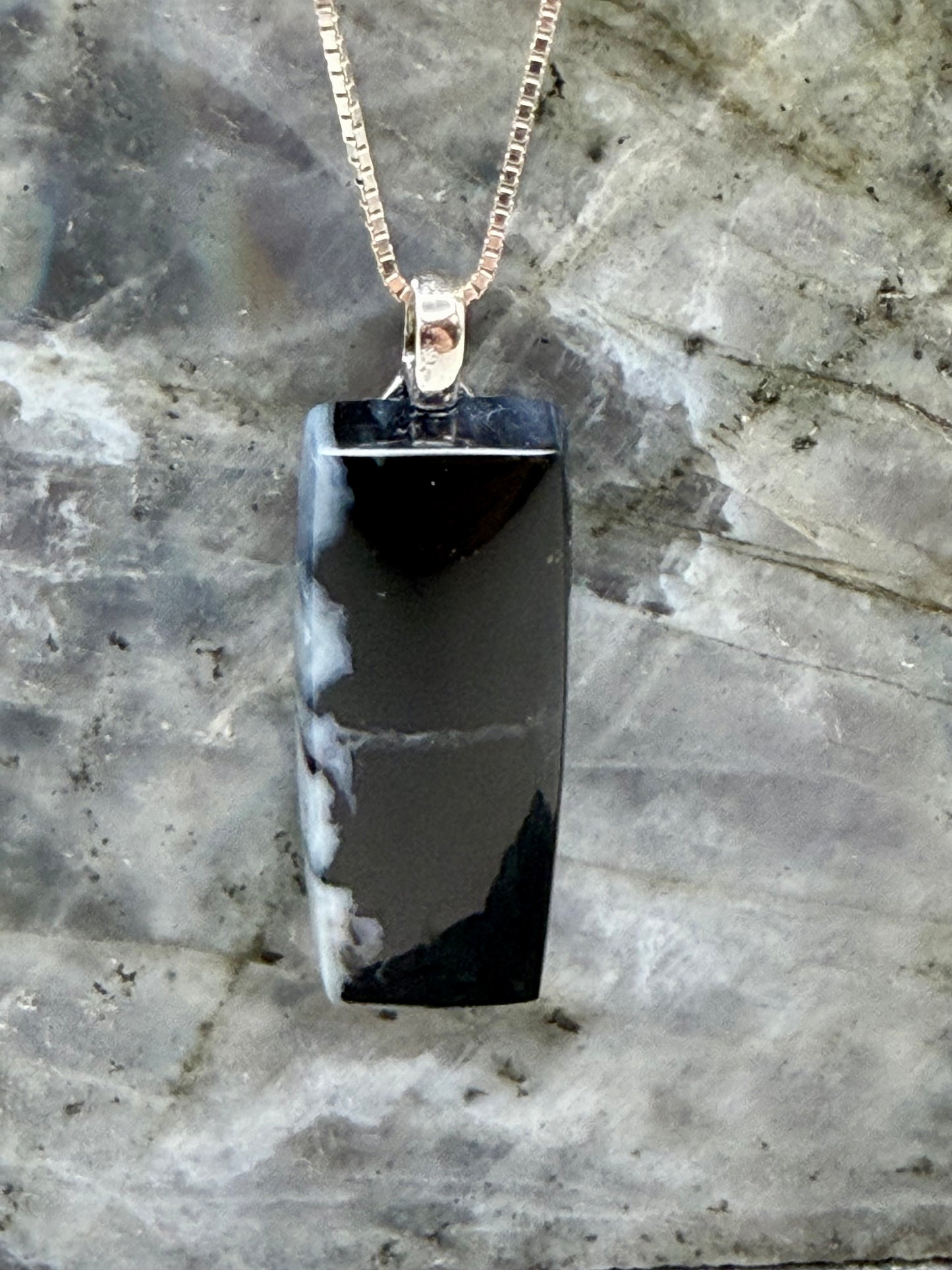 Rooted Time — Tom Miner Basin Agatized Wood Pendant