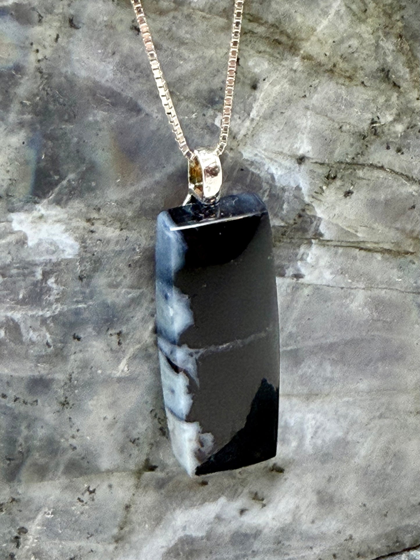 Rooted Time — Tom Miner Basin Agatized Wood Pendant